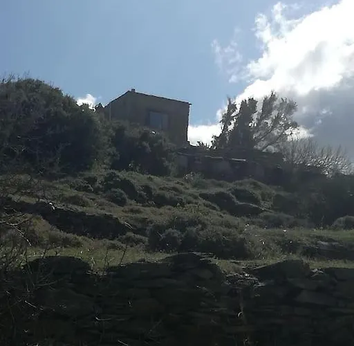 Xoxlakas Stone House - χοχλακασ πετρινο σπιτι Zaganiaris